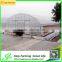Used Galanized Steel Pipe Greenhouse for Sale