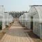 Economical plastic green house for Agricture
