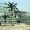 hot sale artificial huge metal palm tree with real touch branch for landscape decoration
