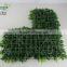 25cm *25cm outdoor use artificial grass carpet ,money grass carpet for sale