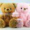 Hot selling plush bear for kid gift from china