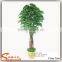 Guangzhou Supplier Artificial Ficus Tree Home Decoration Artificial Ficus Tree