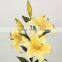 High quality artificial flower Lily best sell in China