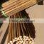 Eco-friendly Factory Direct Supplying Hot Sale Cheap Tonkin Tsinglee Bamboo Cane
