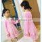 Pink Kids Baby Girls Princess Dresses Long Sleeve Embroidered Tulle Lace Party Dress