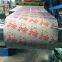 PVDF Coated Aluminium Coil Print PPAL