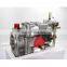 BLSH High quality CCEC 4951544 fuel pump for NT855 truck