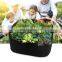 factory supply customized size felt grow bag for plants with handles