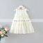 2020 Summer Baby Girls Chiffon Dress Wholesale Children's Clothing