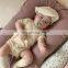 Spot South Korea's new summer ins baby suit baby pit strip crawling clothes home clothes children's pajamas