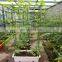 Jis gi square shape tube ms square tube sizes 100x100 for manufacturing