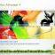 300W Portable Slow Orange Fruit Juicer SP-DJN-001 Slow Juicer