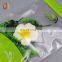 Free sample Customized printing sock packaging bags / underwear packaging bags/ clothes packaging bags