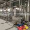 Customized supplier fruit and vegetable tomato paste processing line