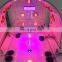 Sales The best selling far infrared ray/ozone steam sauna/photon treatment dry steam spa capsule