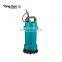 Mini Submerged Electric Submersible Clean Water Pump With Float Switch