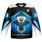 100% polyester ice hockey jersey with heart-shaped neck customize your design and color