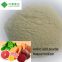 Complex amino acid powder fertilizer 80% raw material