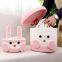 Handicraft Decorative Storage Baskets