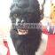 Novelty colorable party mask, inflatable 3d party animal mask moving moth mask