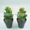 Latest design promotional items small pallet artificial plants