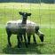 High Tensile Hot Dipped Galvanized Animal Farm Protection Fence(manufacturer)
