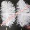 White Bulk Ostrich Feather For Wedding Centerpieces Decoration