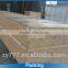Cement and coal belt conveyor system