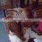 New Fashion Korean Big Bowknot Barrettes Hairclip Girls Hair Accessories for Women Headwear
