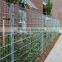Cheap Double Wire Mesh Garden Fencing