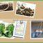 high quality dried black pepper