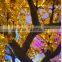 Simulation Outdoor Led Lighted Trees/maple Trees For Street Decorations