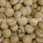Canned mushroom whole with good quality for sale