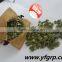 GWS snow white pumpkin seeds shine skin pumpkin seeds
