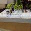 cosmetic promotional counter top acrylic display