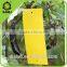 Bright Colored Sticky Sheets for Insects