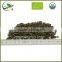 Anxi Spring Organic Health Oolong Tea