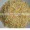 High quality ground granulated onion/onion slices
