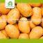 organic export potato with high quality