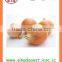 Export Best quality fresh red yellow white onion