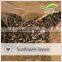 Sunflower seeds kernel 5009 long shape