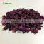 Dehydrated Purple Sweet Potato 5x5x5mm