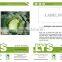 C39 JF no.1 mid-late maturity oblateness hybrid cabbage seeds in vegetable seeds