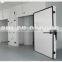 Deep Freezer Fish Cold Storage