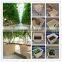 Agriculture Dutch Bucket for Hydroponics Systems