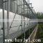 Large span glass greenhouse