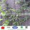 2015 Original Factory Powder coated 3D welded wire mesh panel supplier