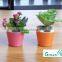 cheap succulent planter small flower pots