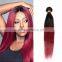 Factory Wholesale Unprocessed Ombre Hair Extension Bundles #1b/99j Color Malaysian Human Hair, red wine colored Malaysian hair