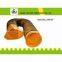 China Supplier Tunnel Air Duct Hose